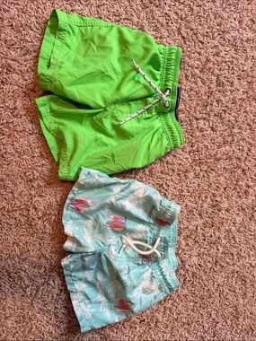 Carter's Boys Green and Aqua Swim Trunks - 2 Pack